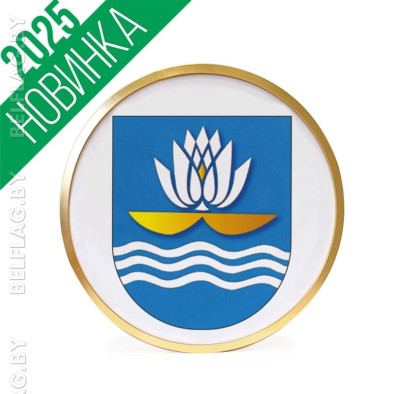 Герб г. Новополоцка д. 30 см в золотой раме