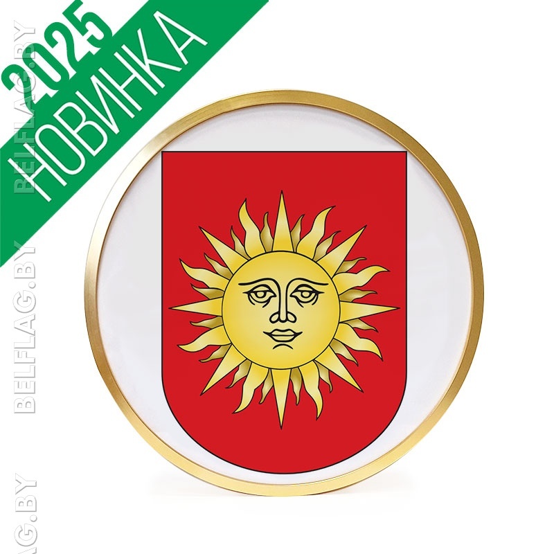 Герб г. Светлогорска д. 30 см в золотой раме