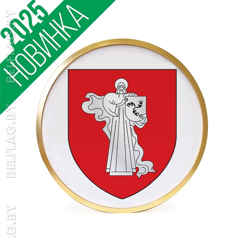 Герб г. Жодино д. 30 см в золотой раме