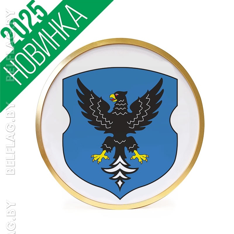 Герб г. Мозыря д. 30 см в золотой раме