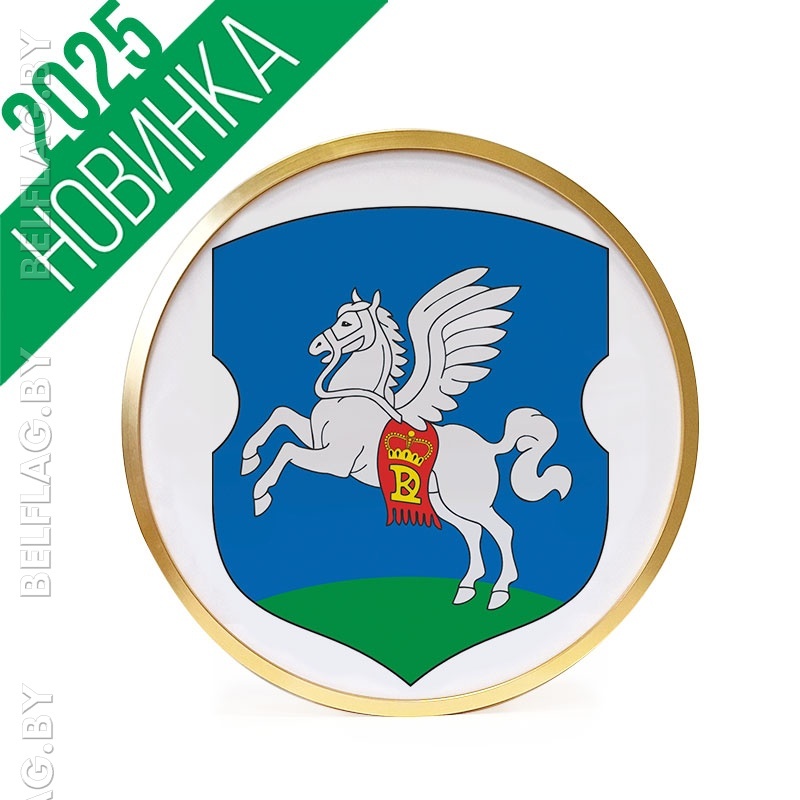 Герб г. Слуцка д. 30 см в золотой раме