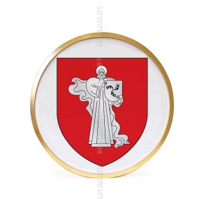 Герб г. Жодино д. 30 см в золотой раме