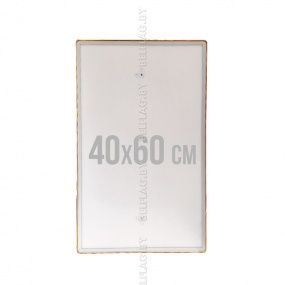 Рамка алюминиевая с прозрачным пласт. экраном на магнитах, размер 40*60см, толщина 14 мм, цвет золото/серебро