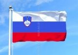 Флаг Словении