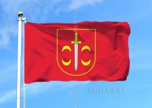 Флаг города Толочин
