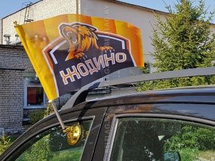 Кронштейн автомобильный на присоске, золото