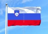 Флаг 150 x 300 см