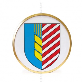 Герб г. Солигорска д. 30 см в золотой раме