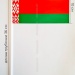 Флажок Республики Беларусь 10х20 см бумажный (50 штук)