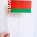 Флажок РБ 10х20 см бумажный на палочке в упаковке с европодвесом