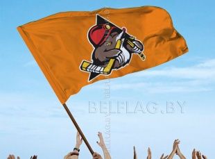 Флаги хоккейных клубов