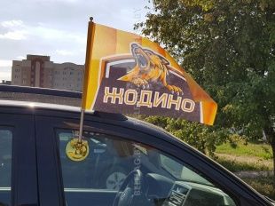 Кронштейн автомобильный на присоске, золото