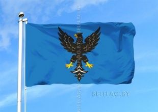 Флаг города Мозырь