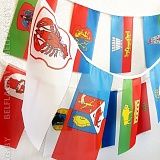 Гирлянда из прямоугольных флажков городов Гродненской обл. 15 метров