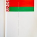 Флажок Республики Беларусь 10х20 см бумажный (100 штук)